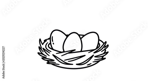 Three Eggs in a Nest on White Background