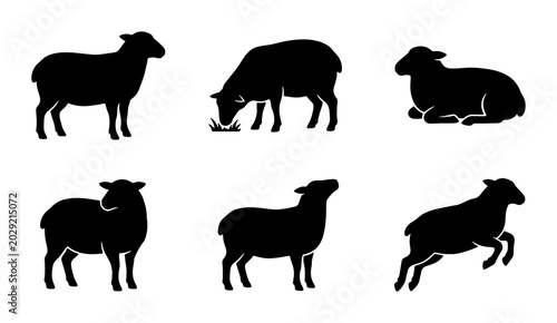 Fényképezés Vector Sheep Silhouettes, Farm Animal Poses Collection, Livestock Icons Set, Rur