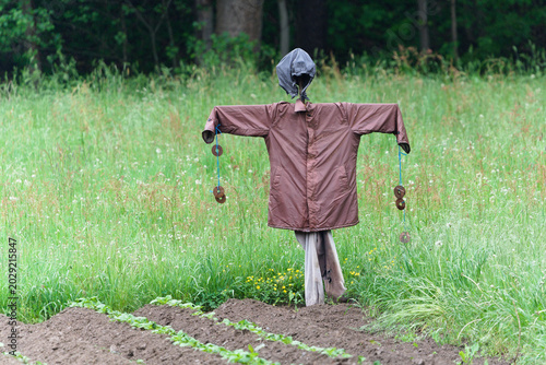 Tablou pe pânză Scarecrow standing in the corner of a field to deter birds from crops