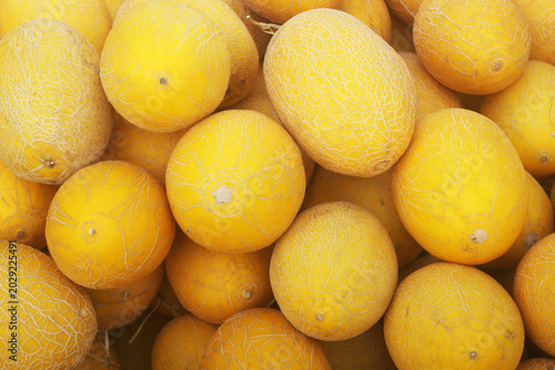 Many ripe yellow melon fruits close up	