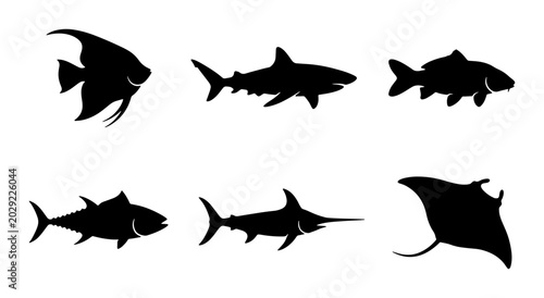 Photos Diverse Aquatic Life Silhouettes: Angelfish, Shark, Carp, Tuna, Swordfish, Manta