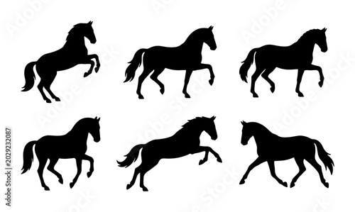 Quadro su tela Six Silhouette Horse Poses, Vector Graphics Collection: Galloping, Rearing, Stan