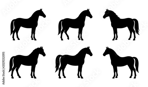 Foto Six Black Horse Silhouettes, Equine Vector Graphics, Animal Icons for Equestrian