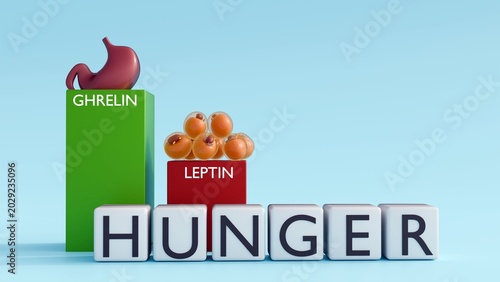 Cuadro en lienzo A 3D rendering of ghrelin and leptin hormone columns features a comparative bar chart, the hormonal regulation of appetite