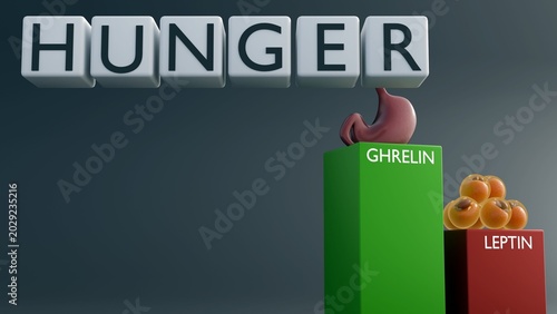 фотографія A 3D rendering of ghrelin and leptin hormone columns features a comparative bar chart, the hormonal regulation of appetite
