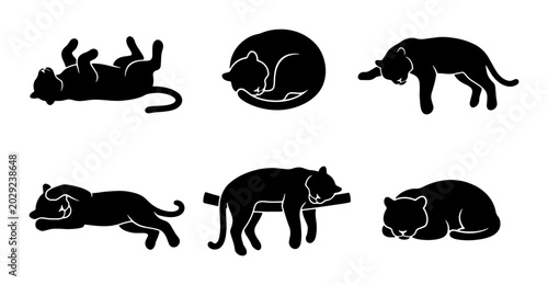 Photography Black Panther Silhouette Icons Set, Wild Cat Poses Collection, Feline Animal Vec