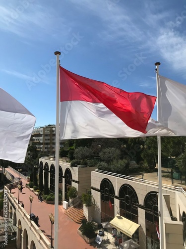 National flag of Monaco waving on a flagpole in Monte Carlo with trees and buildings in background