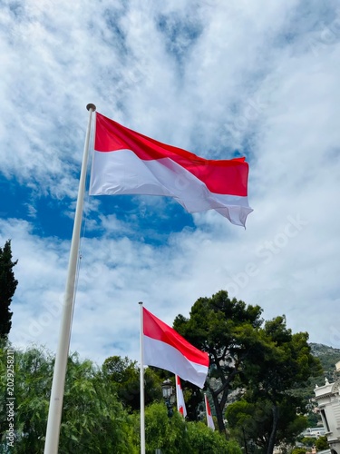 National flag of Monaco waving on a flagpole in Monte Carlo with trees and buildings in background