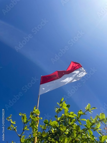 National flag of Monaco waving on a flagpole in Monte Carlo with trees and buildings in background