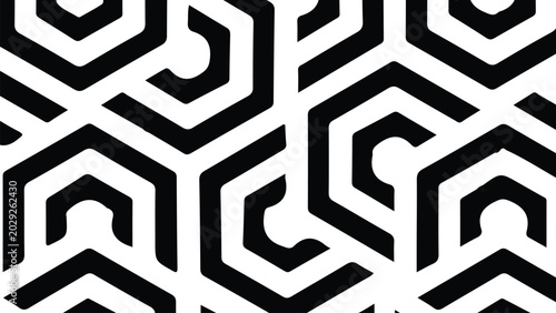 Fotografía Abstract black‑white hexagonal optical geometric pattern illustration, modern ve