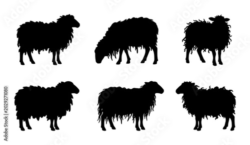 Schilderij op canvas Vector Silhouette Sheep Collection: Farm Animals, Livestock, Rural Icons, Black