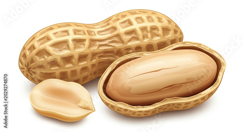 Photos Whole Peanut Shell with Open Shell Revealing Kernels and a Single Kernel