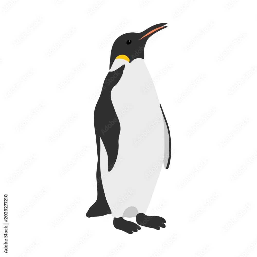 Obraz premium vector drawing emperor penguin, Aptenodytes forsteri isolated at white background, hand drawn illustration