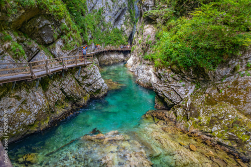 View of Vintgar Gorge within Triglav National Park near Bled, Slovenia