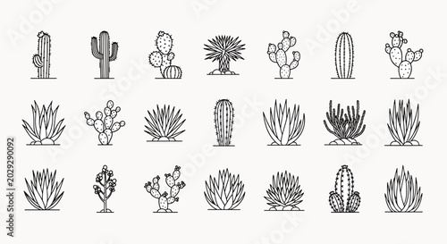 Collection of various stylized cacti and desert plants in a simple line art illustration style, isolated on white background