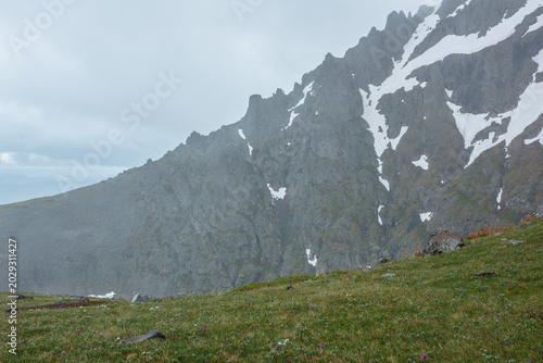 Minimal alpine view from grassy pass above abyss to sharp rocky ridge with sn...