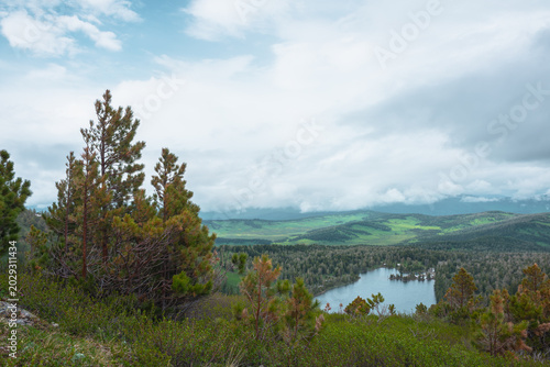 Scenic top view from green lush thickets and coniferous trees on mountain pas...