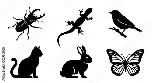 Bild auf Leinwand Animal silhouette vector collection with beetle lizard bird and cat