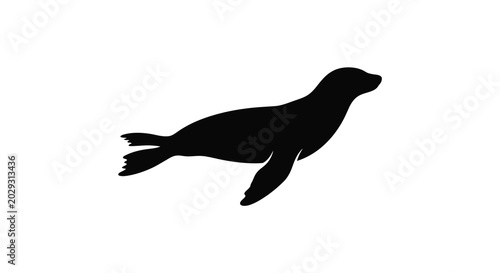 seal silhouette on white background marine mammal shape