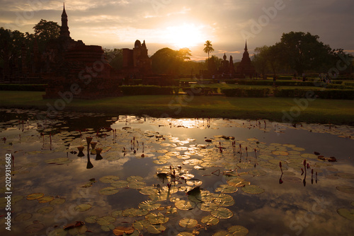 Evening sunset in the historical park of Sukhothai city. Thailand