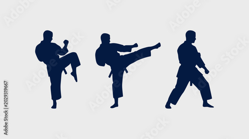 Bild auf Leinwand Silhouette of a male karate fighter performing kicks and punches