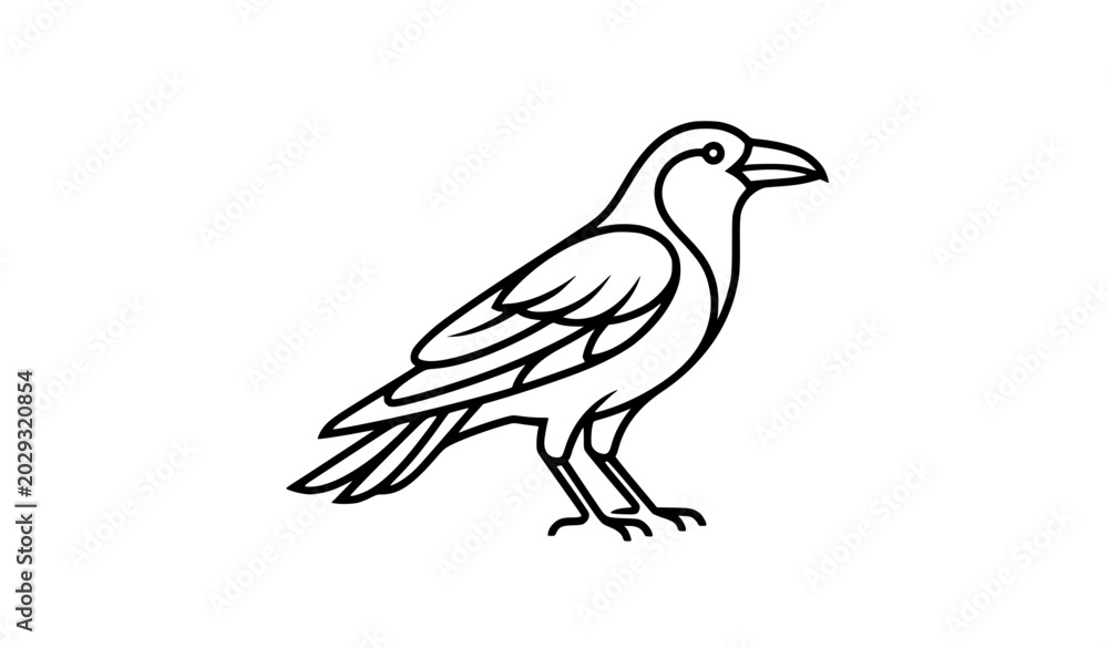 Fototapeta premium Minimal crow bird outline icon vector illustration isolated on white background for animal and nature design