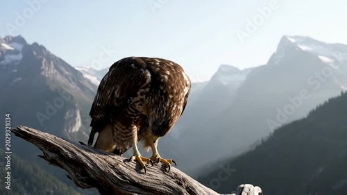 Golden Eagle Perched on Wooden Post with Mountain Landscape Background