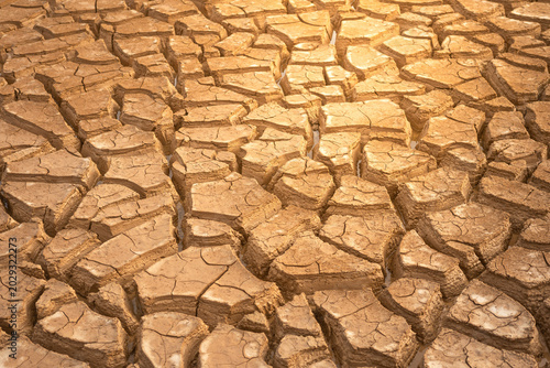 Cracked soil or dry terrain dirt ground in close-up. Climate change and Drought environment. Background and texture of nature condition.