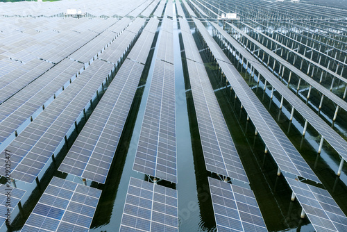 Fishery-Photovoltaic Complementary Solar Panel Array on Water Surface