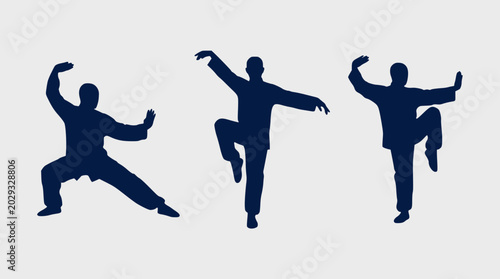 Fotografi Silhouette of a man practicing traditional kung fu and wushu stances