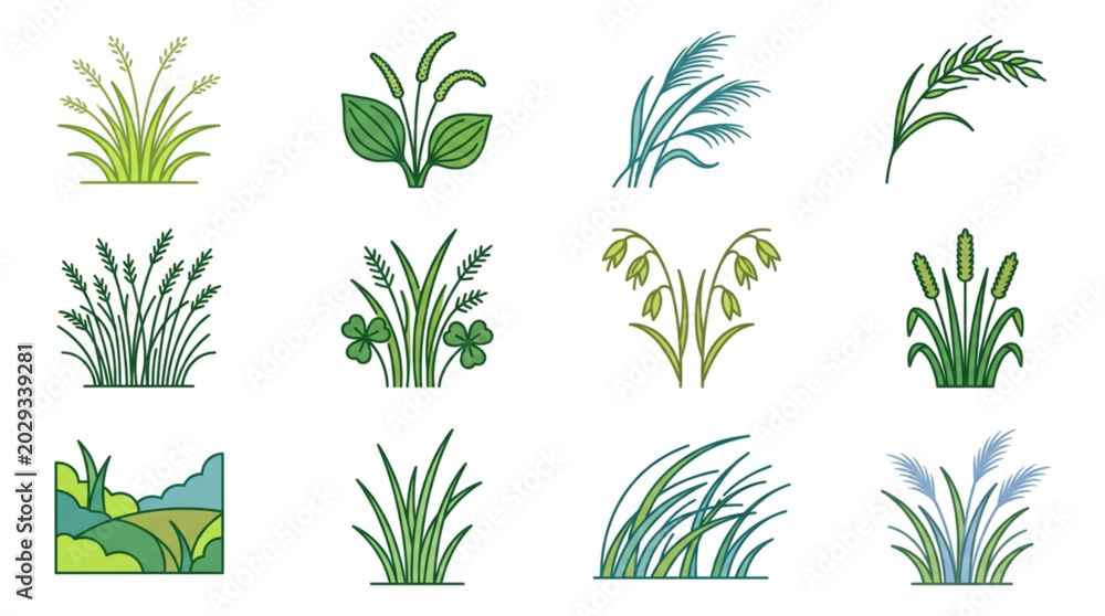 Fototapeta premium Collection of stylized grass and plant illustrations.