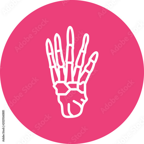 Canvastavla Phalanges Vector Icon