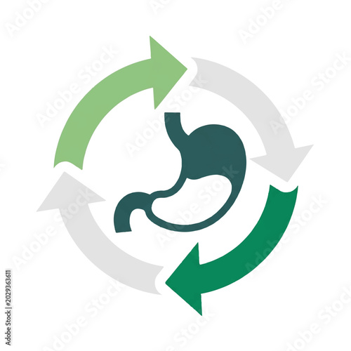 A circular arrow icon representing the digestion cycle around a human stomach symbol, medical flat design, balanced and clinical mood, 4 colors: soft green, emerald, white, light grey,