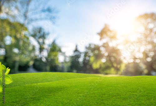 Green grass hills with blurred park background and sunlight