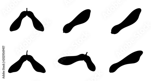 Quadro su tela Maple Seed Samara Vector Icons, Black Silhouette Flying Seeds, Autumn Nature Ele