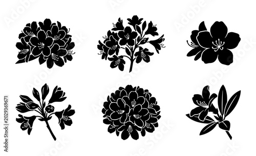 Obraz na plátně Botanical Vector Silhouettes: Rhododendron Flower Clusters, Floral Elements, Nat