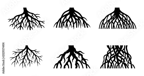 Diverse Tree Root Systems, Plant Biology Vector Icons, Organic Growth Patterns