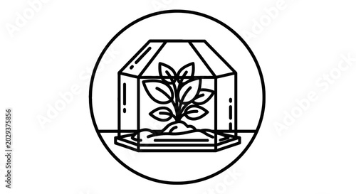 Greenhouse Terrarium Miniature Plant Illustration.