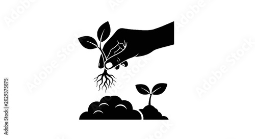 Hand Planting Young Green Seedling.