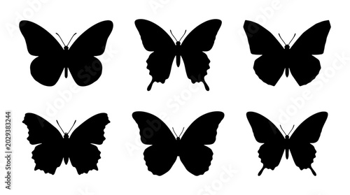 Foto Six Black Butterfly Silhouettes, Vector Icons, Insect Wing Shapes, Nature Elemen