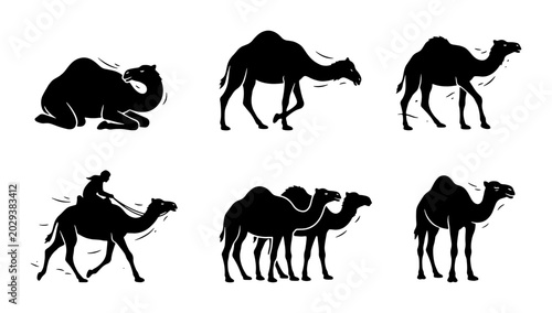 Photography Camel Silhouettes Collection: Desert Animals, Riding, and Caravan Scenes