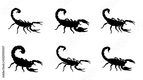 Bild auf Leinwand Six Black Scorpion Silhouettes, Vector Icons, Arachnid Wildlife Graphics, Desert