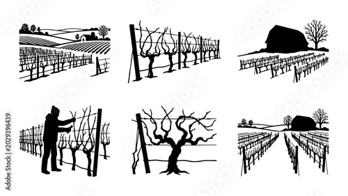 Bild auf Leinwand Vineyard Rows, Winery Barn, Rural Landscape Vector Icons: Agriculture, Viticultu