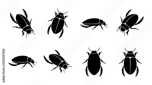 Photos Water Beetle Silhouettes, Aquatic Insect Vector Icons, Black Bug Graphics, Macro