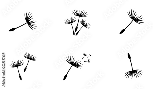 Cuadro en lienzo Dandelion Seeds Vector Icons, Floating Fluff Elements, Nature Graphics, Black an