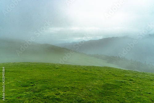 Quadro su tela Green alpine meadow landscape covered in heavy mist at Ali Bedni Bugyal, Chamoli