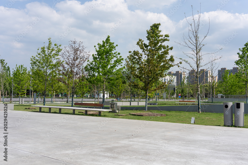 Fototapeta premium Urban park landscape with green grass trees and benches under blue sky