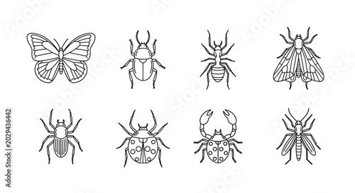 Quadro su tela Diverse insect and bug outline collection, showcasing various flying and crawlin