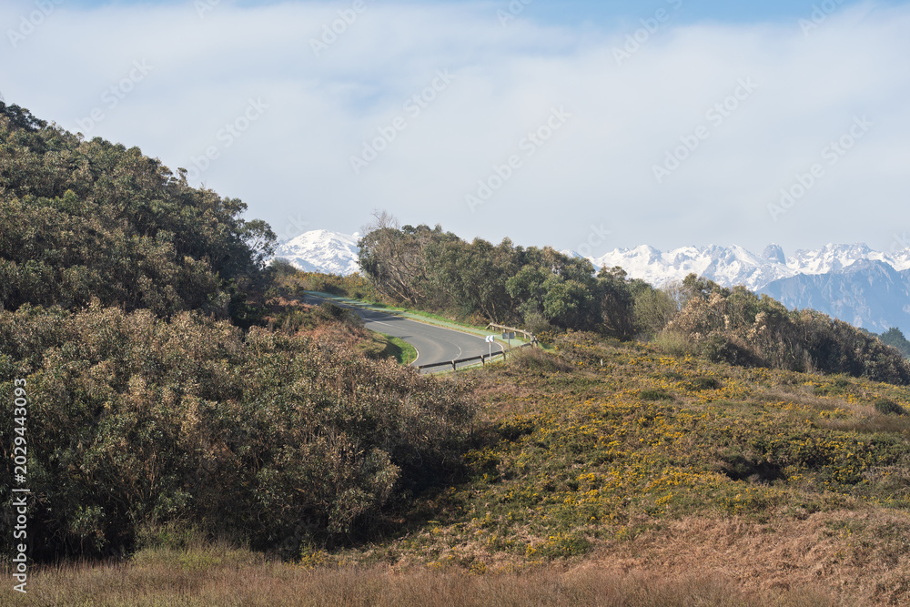 Fototapeta premium Winding Mountain Road Through Hills with Snowy Peaks