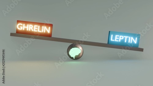 A 3d animation of a see-saw scale with ghrelin and leptin blocks tilting up and down, paired with a central brain icon that continuously changes through illuminated rainbow colors.